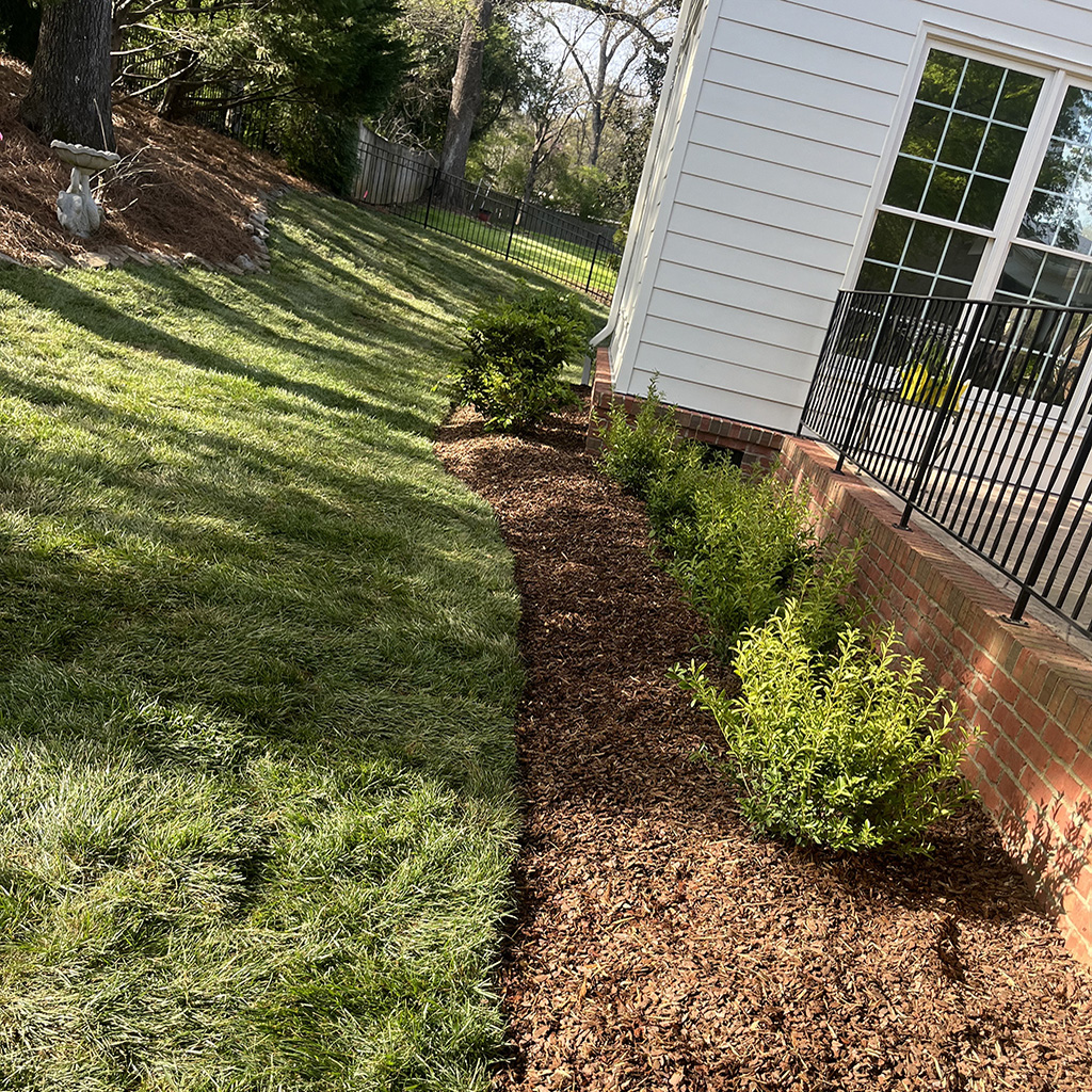 lawn and landscape care