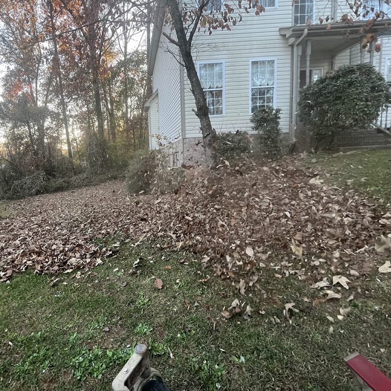 leaf vacuuming
