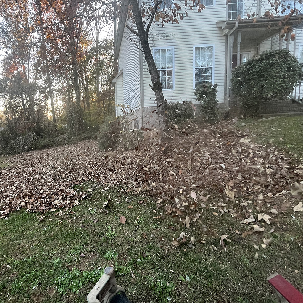 leaf vacuuming
