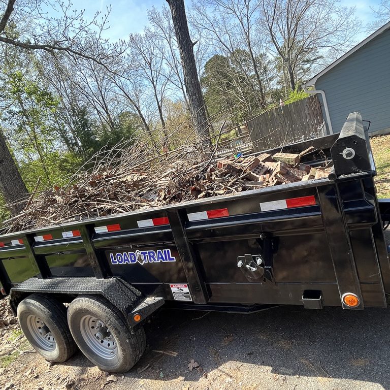 seasonal and property clean up