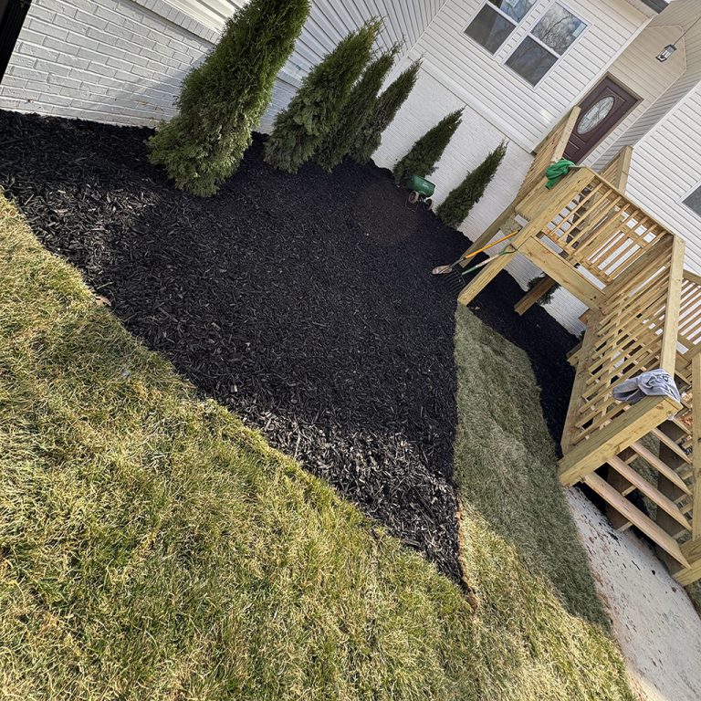 sod installation