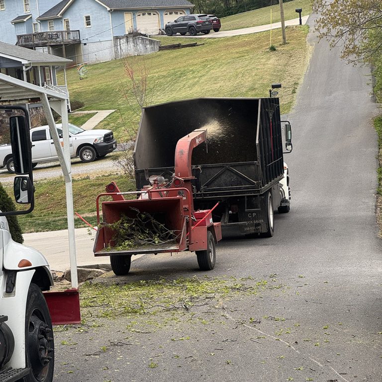 tree planting and removal