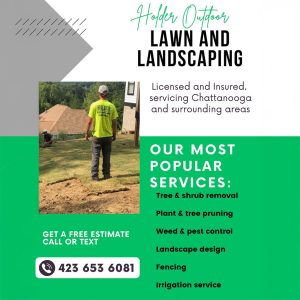 Expert Outdoor General Landscaping in North Shore Chattanooga Tennessee