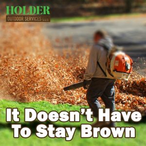 Thorough Leaf Removal Across Birchwood Tennessee