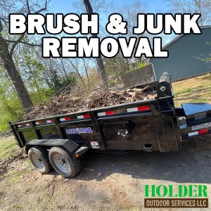 Efficient Brush Removal Services in Birchwood TN