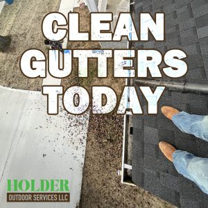 Expert Gutter Cleaning Services in North Shore Chattanooga TN