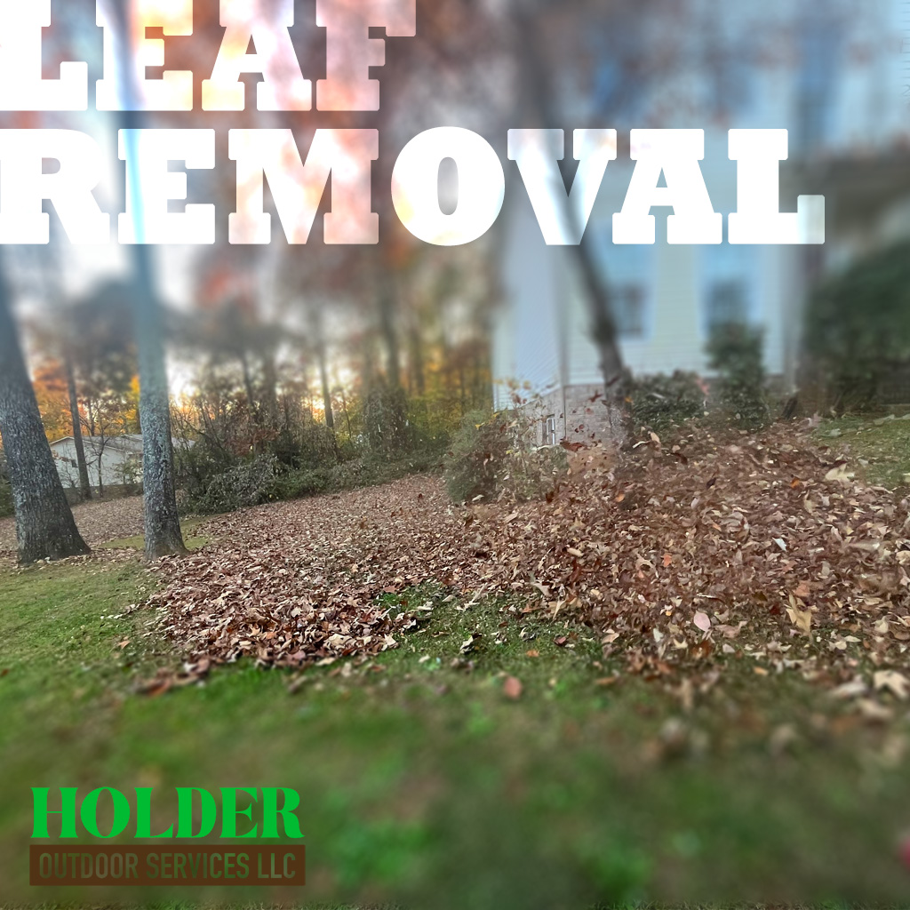 Professional Leaf Vacuuming in Ooltewah TN